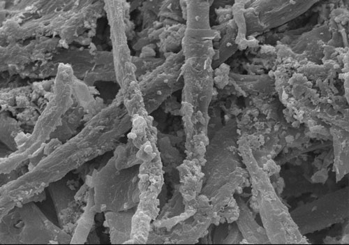 Sustainable immobilization